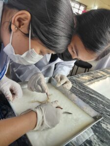 Science Practical